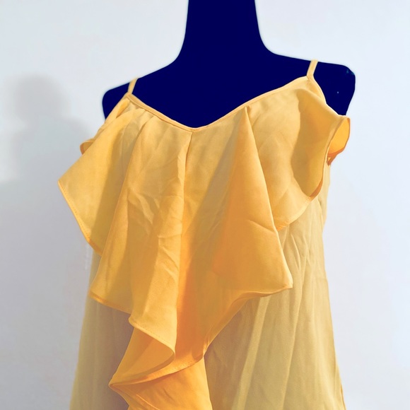 Sheer Charlotte Russe cami - Picture 2 of 5